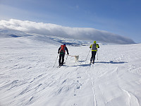 opps_20210710_60e9f30c3c8ff.jpg