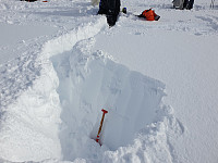 opps_20210710_60e9f67cdc4d4.jpg