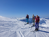 opps_20210710_60e9fbd039da4.jpg