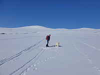 opps_20210710_60ea007c53686.jpg