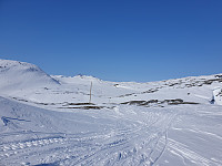 opps_20210710_60ea007d86923.jpg