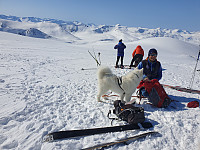 opps_20210710_60ea008d405e7.jpg