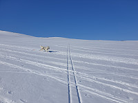 opps_20210710_60ea009174133.jpg