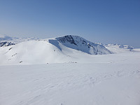 opps_20210710_60ea0327abeeb.jpg