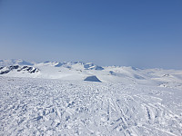 opps_20210710_60ea03316aca2.jpg