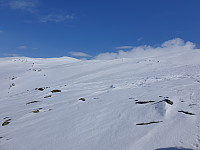 opps_20210711_60eb5f9272601.jpg