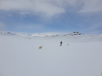 opps_20210711_60eb62a7847bb.jpg