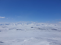 opps_20210711_60eb62b09f4c8.jpg