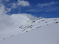 opps_20210711_60eb668234bc6.jpg