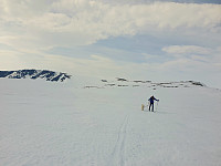 opps_20210714_60ef46b565241.jpg