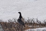 opps_20210714_60ef49d2646af.jpg