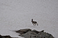 opps_20210714_60ef4ad675cb3.jpg