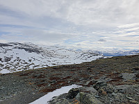 opps_20210714_60ef4d328b6c3.jpg