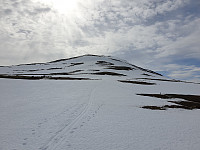 opps_20210714_60ef4d35372db.jpg