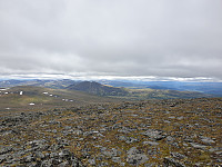 opps_20210714_60ef50db6b0e4.jpg