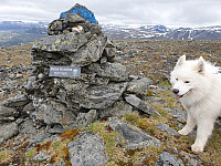 opps_20210714_60ef50dfdc410.jpg