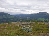 opps_20210714_60ef515e9a7fd.jpg