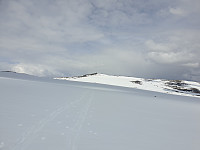 opps_20210714_60ef580a11fa9.jpg