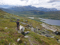 opps_20210714_60ef58f289b81.jpg