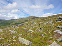 opps_20210714_60ef58f4e00d8.jpg