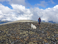 opps_20210715_60f08b8a4842f.jpg