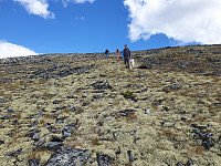 opps_20210715_60f08b8c0a8b5.jpg