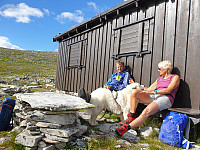 opps_20210715_60f08b9165a80.jpg