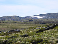 opps_20210715_60f090893be01.jpg