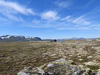 opps_20210715_60f090902401e.jpg