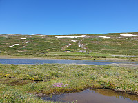 opps_20210715_60f092d99f297.jpg