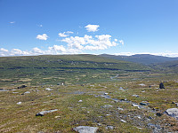 opps_20210715_60f092df7fba3.jpg