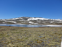 opps_20210715_60f092e425c36.jpg
