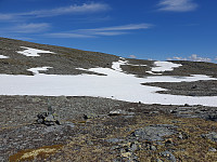 opps_20210715_60f092ee60429.jpg