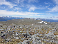 opps_20210715_60f092f23d240.jpg