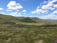 opps_20210717_60f318a20ca49.jpg