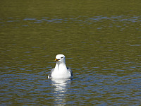 opps_20210717_60f318eb479f4.jpg