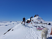 opps_20210717_60f31d44df246.jpg