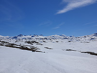 opps_20210717_60f31eca1f7a2.jpg