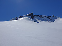 opps_20210717_60f31ecc5a748.jpg