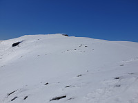 opps_20210717_60f31ecebb130.jpg