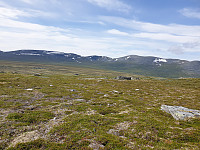 opps_20210720_60f72e12adeec.jpg