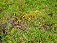 opps_20211217_61bcec31a0f4a.jpg