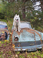 opps_20211217_61bcecbc61dc4.jpg