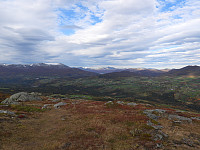 opps_20211217_61bced532c337.jpg