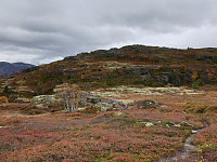opps_20211217_61bcee8469714.jpg