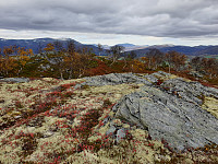 opps_20211217_61bcee85e36cb.jpg