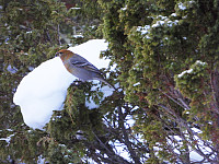 opps_20211217_61bcf3166afa9.jpg