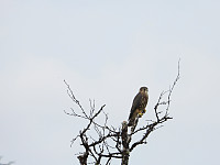 opps_20211217_61bd077ce3f80.jpg