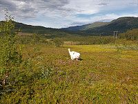 opps_20211217_61bd0968c63e4.jpg