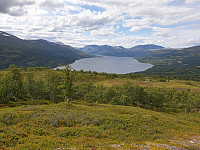 opps_20211217_61bd096a919a0.jpg